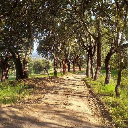 Gospodarstwo wiejskie Quinta Da Barroquinha