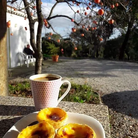 Quinta Da Barroquinha * Vale de Prazeres