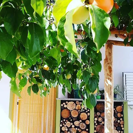 Gospodarstwo wiejskie Quinta Da Barroquinha *