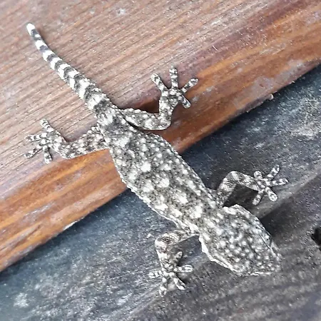 Quinta Da Barroquinha * Vale de Prazeres