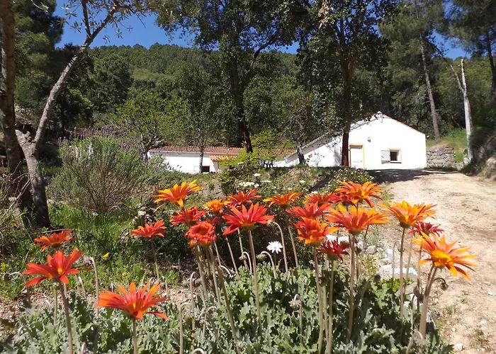 Quinta Da Barroquinha *