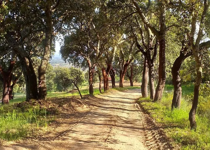 בית כפרי Quinta Da Barroquinha