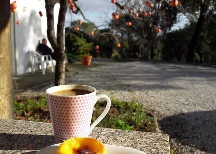 Quinta Da Barroquinha * Vale de Prazeres