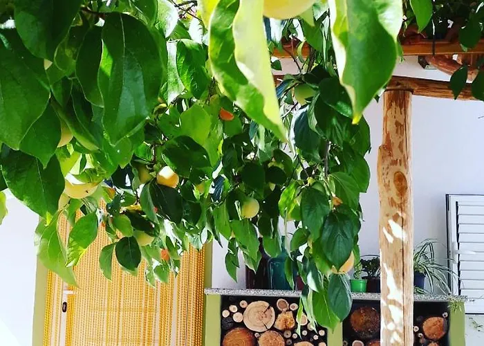 בית כפרי Quinta Da Barroquinha *