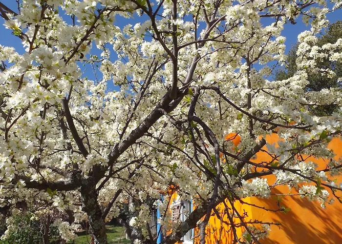 Quinta Da Barroquinha