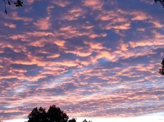 Quinta Da Barroquinha *